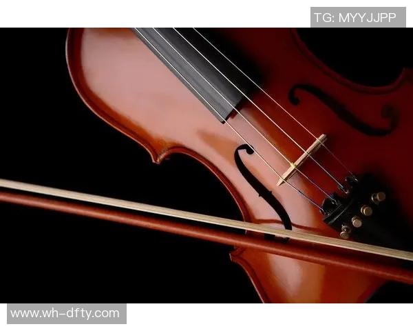 廖三宁的音乐之旅与人生哲学探索:从小提琴到心灵的共鸣